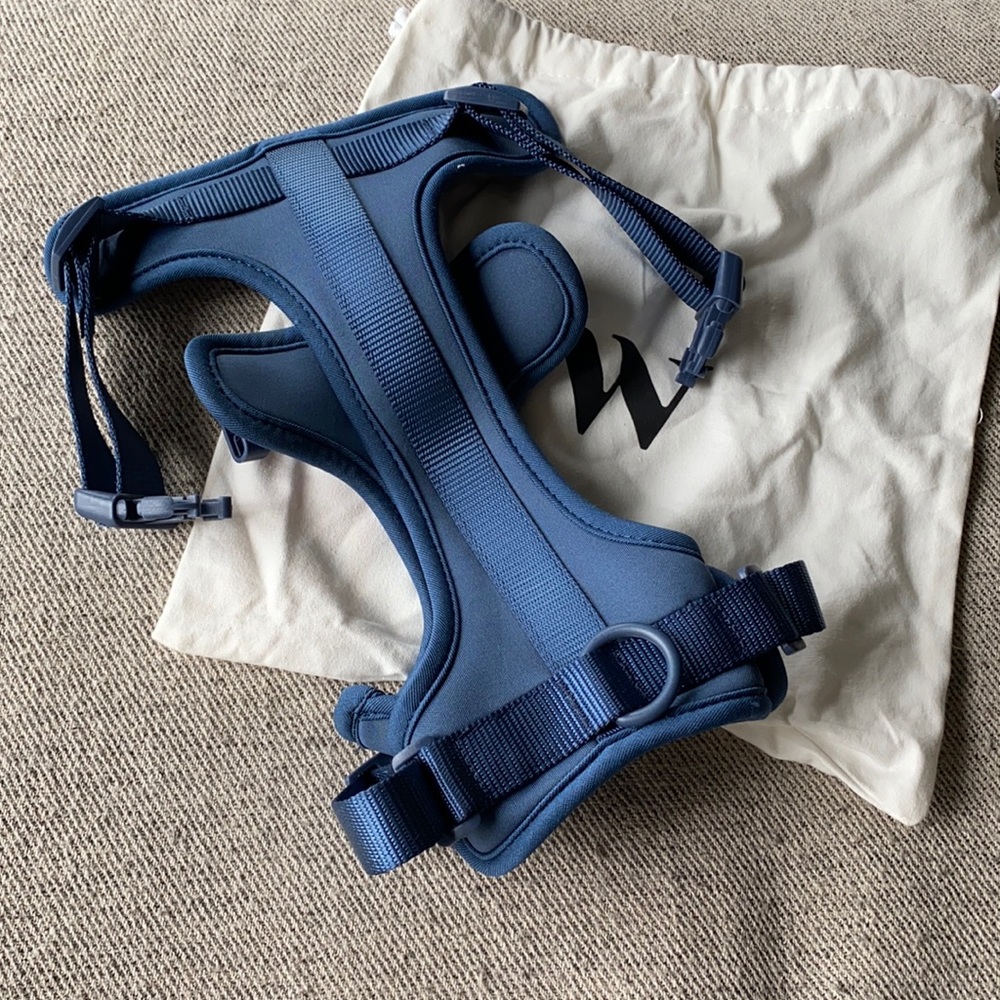 Blue dog harness